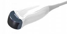 Микроконвексный датчик УЗИ Chison D6C15L