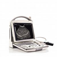 Ультразвуковая диагностическая система Mindray DP-30 Vet