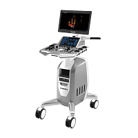 Стационарный УЗИ аппарат VINNO G55