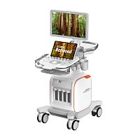 Ультразвуковая система Siemens ACUSON Redwood