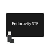 Endocavity STE